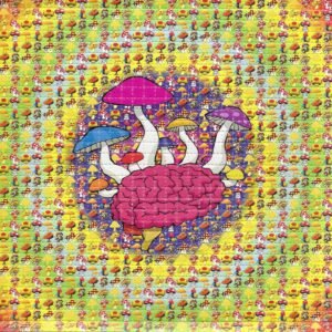 LSD-25 Tabs Mushroom Brain Canada