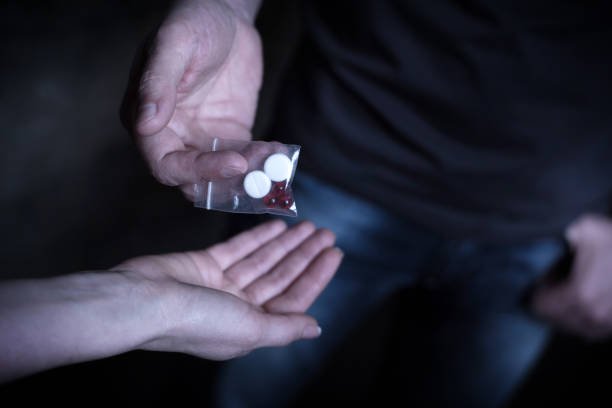 https://mollydrug.ca/